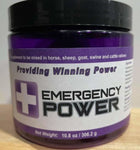 Emergency Power